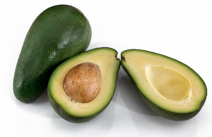 Avocado