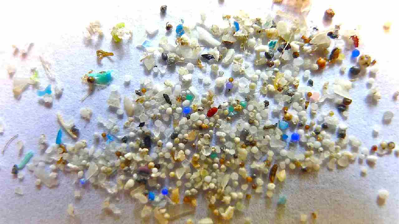 microplastiche