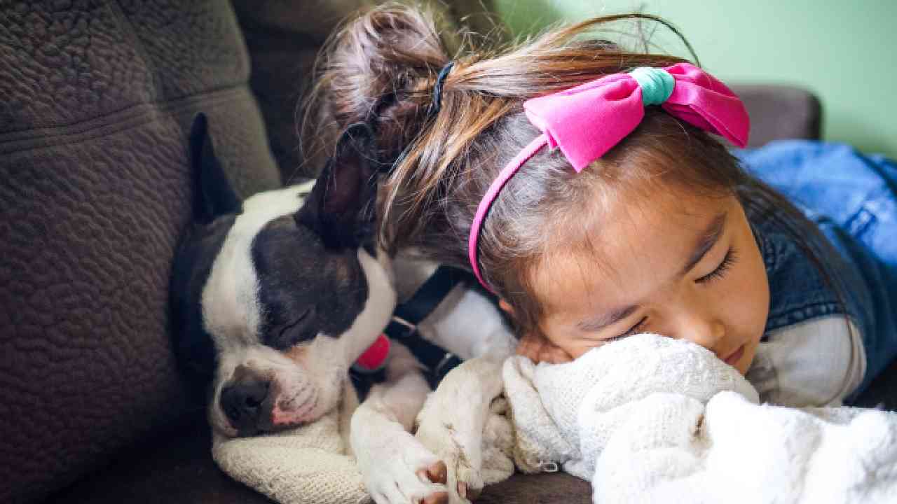 Bambina che dorme con il cane