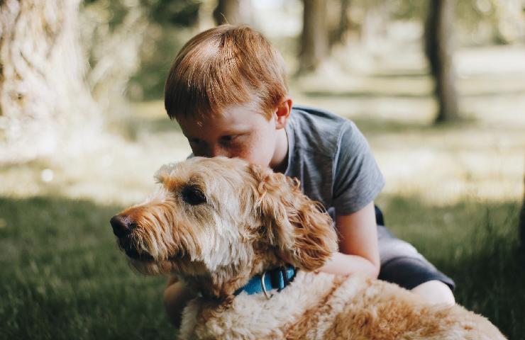 Un bambino e il suo cane