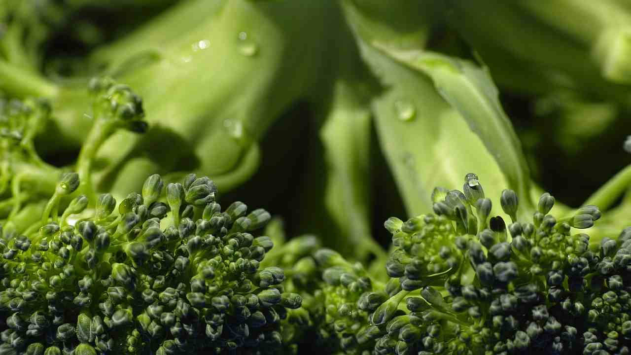 Broccolo in primo piano