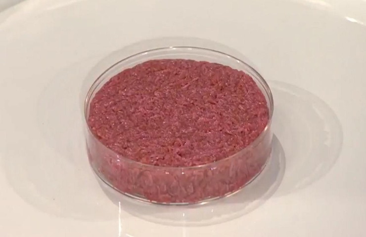 Carne sintetica in una provetta in laboratorio