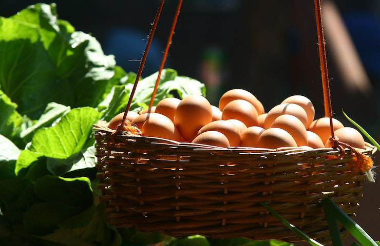 Cesto colmo di uova, con della verdura a fianco