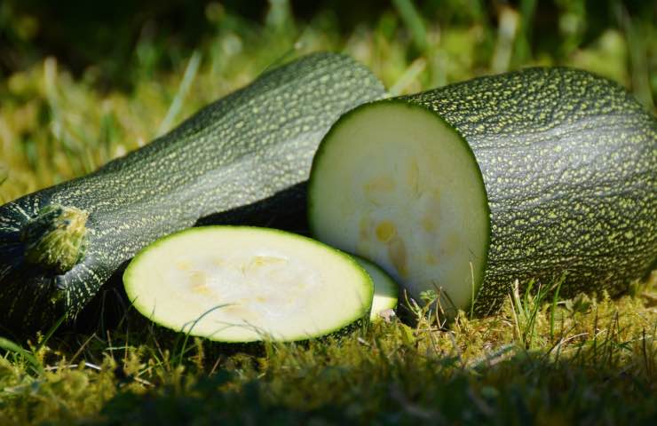 Zucchine verdi