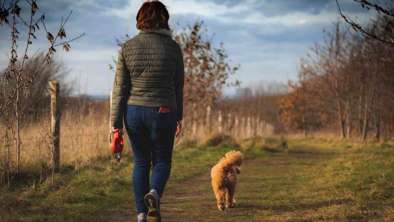 Passeggiata con il cane