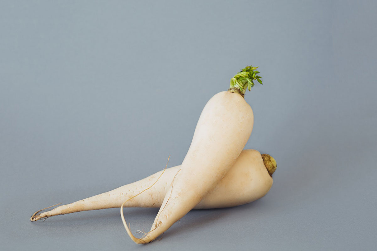 le radici del daikon giapponese