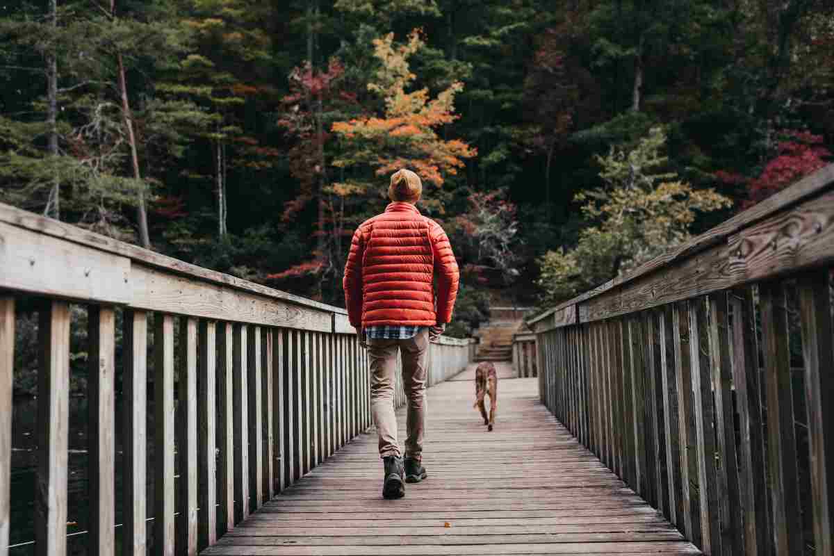 Uomo attraversa un ponte camminando insieme a un cane