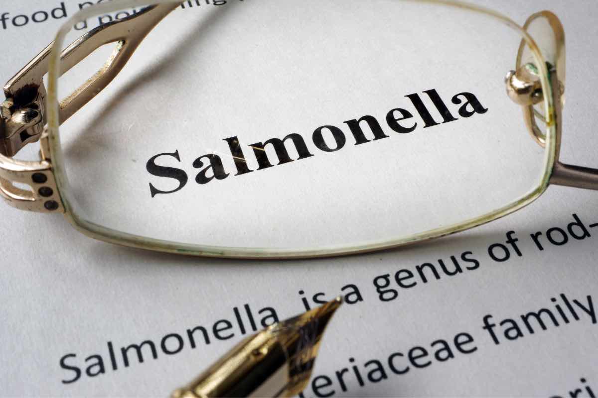 Scritta salmonella su un foglio