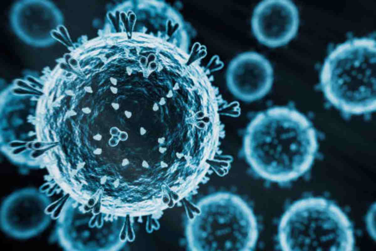 Influenza aviaria negli Stati Uniti