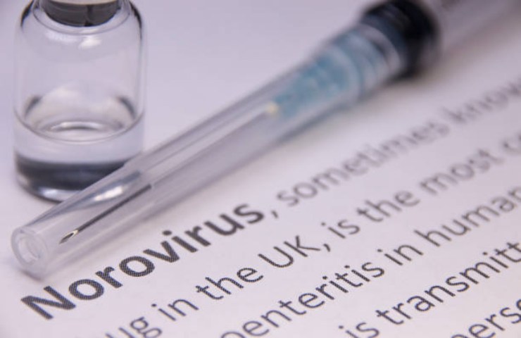 Caratteristiche dei norovirus