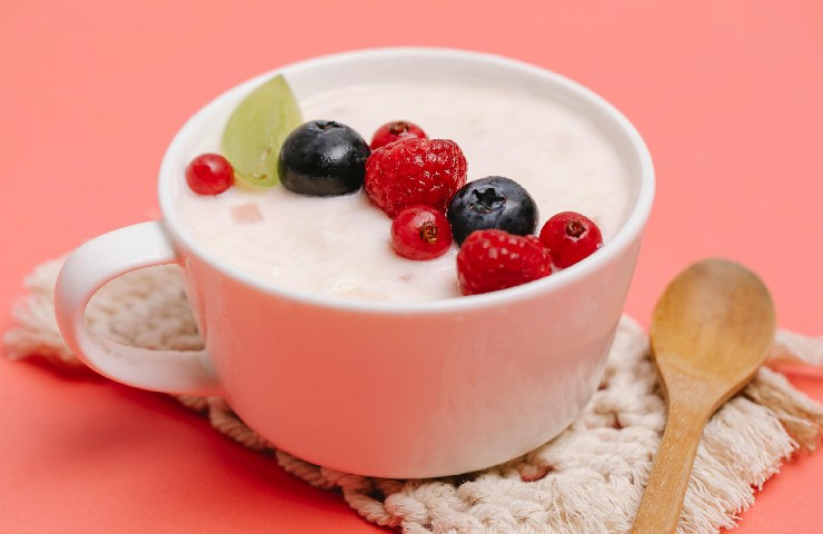 Yogurt