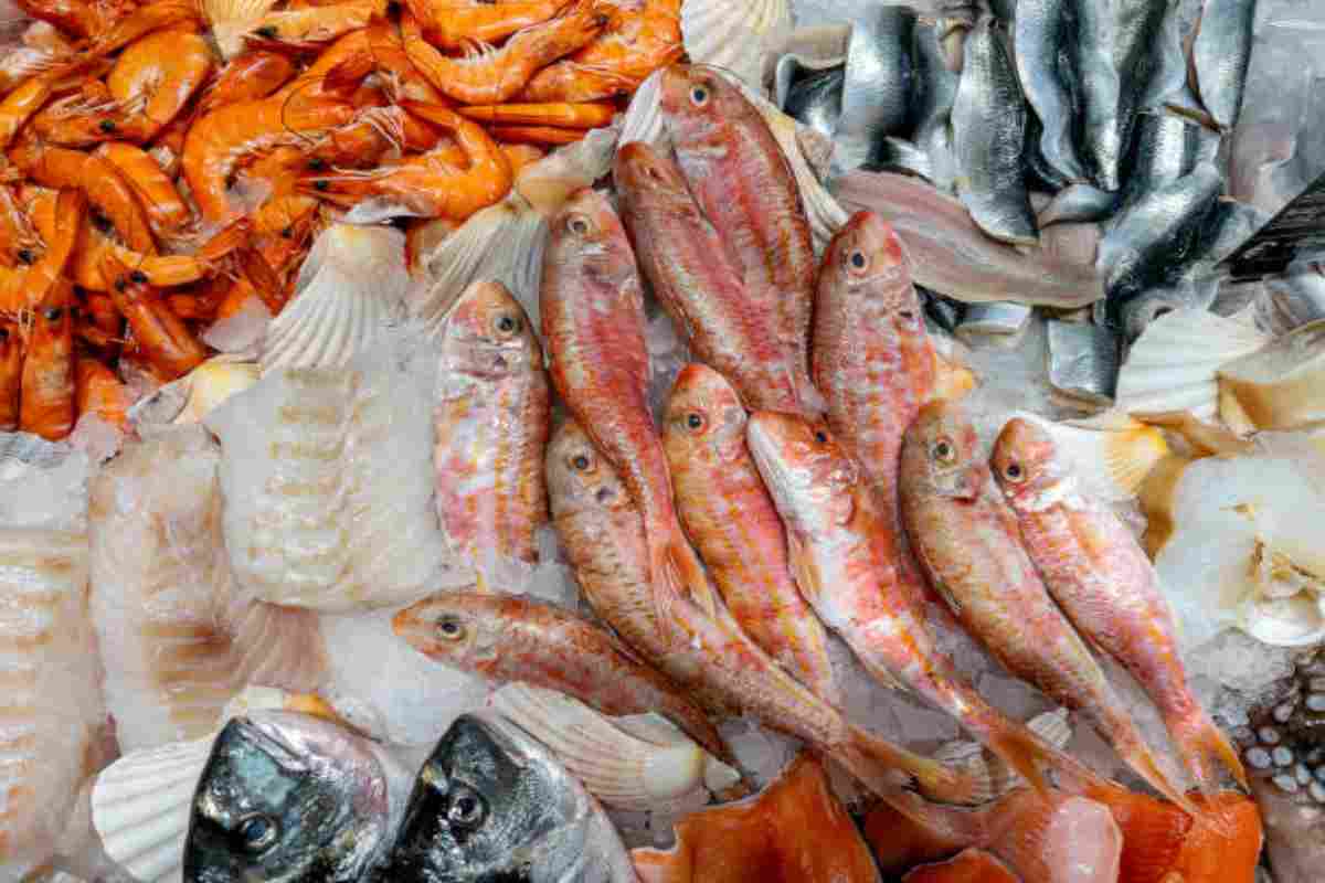 Consumo di pesce e sclerosi multipla